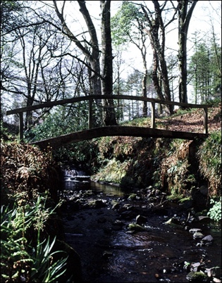 Bridge at Mount Stuart, Isle of Bute.